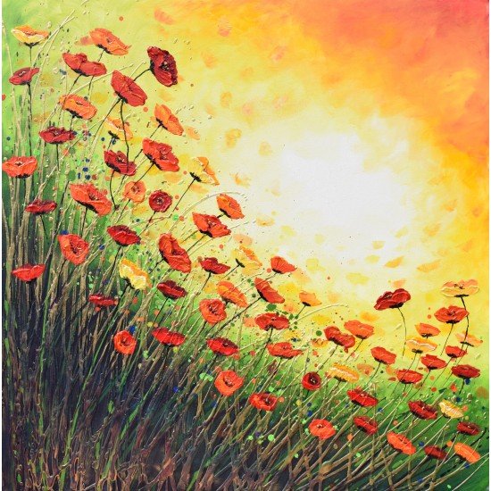 Popping with Red Poppies