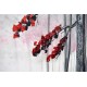 Red Blossom Forest