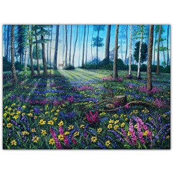 Heartbeat of the Forest