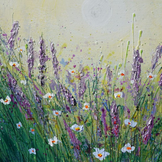 Summer Lavender Field