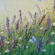 Summer Lavender Field