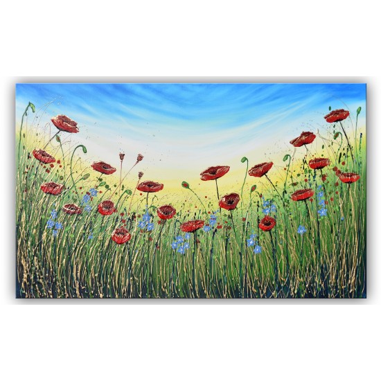 Red Summer Poppies